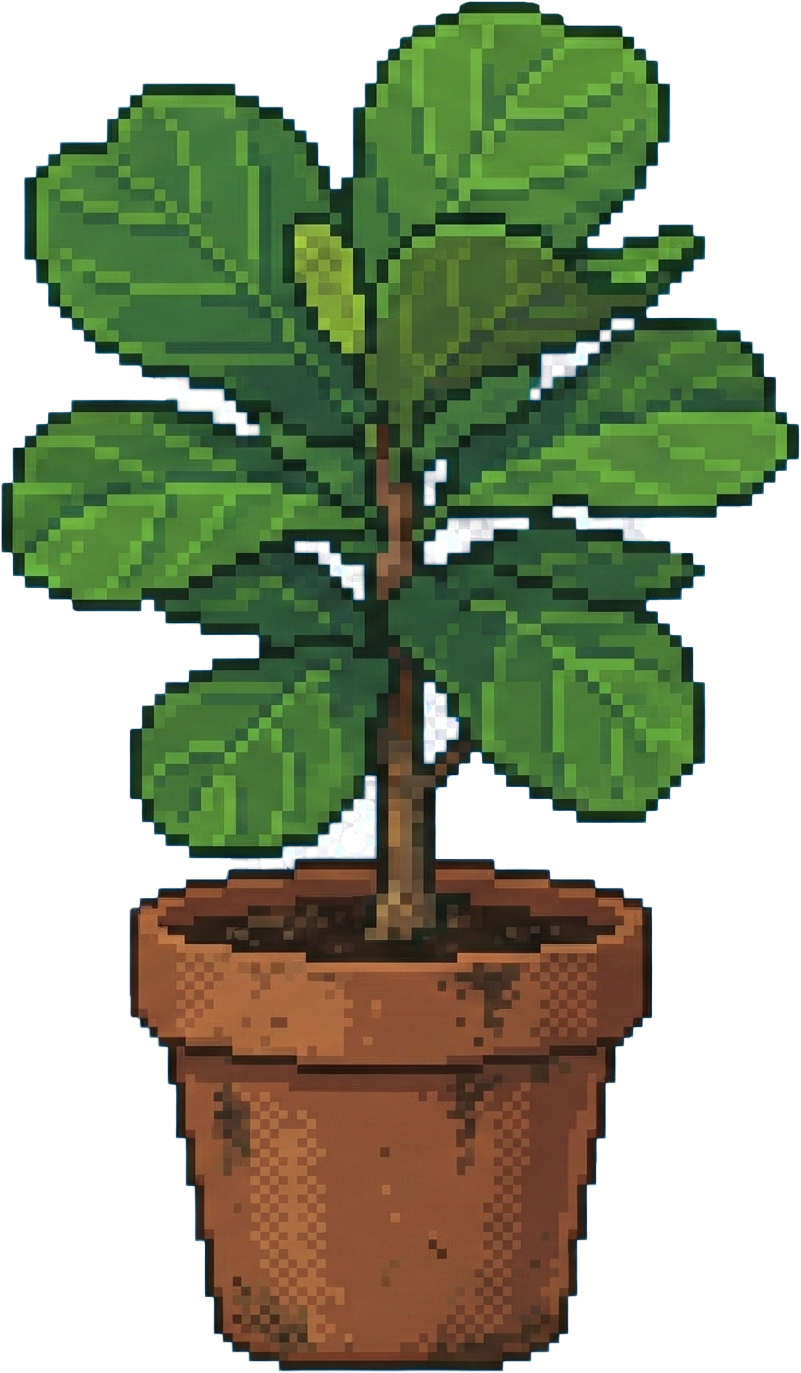House Plant